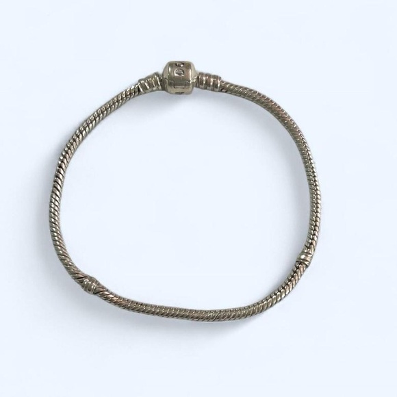 Pandora Jewelry - Pandora  Retired Charm Bracelet Large